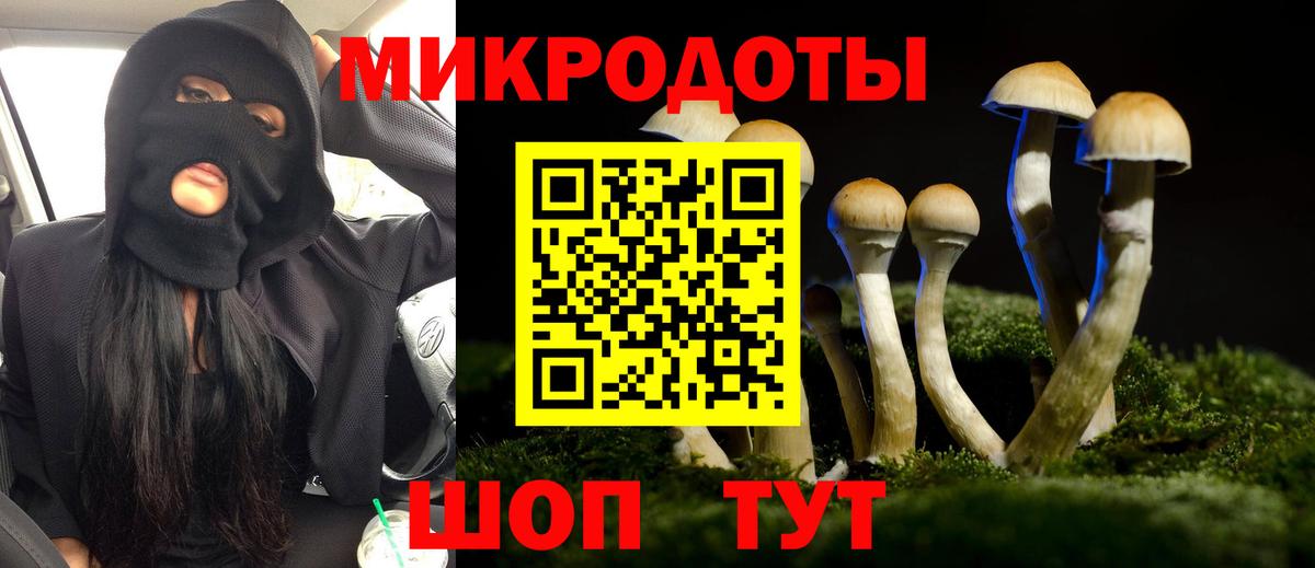 Псилоцибиновые грибы GOLDEN TEACHER Вязники
